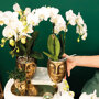 Witte orchidee en succulent op gouden dienblad